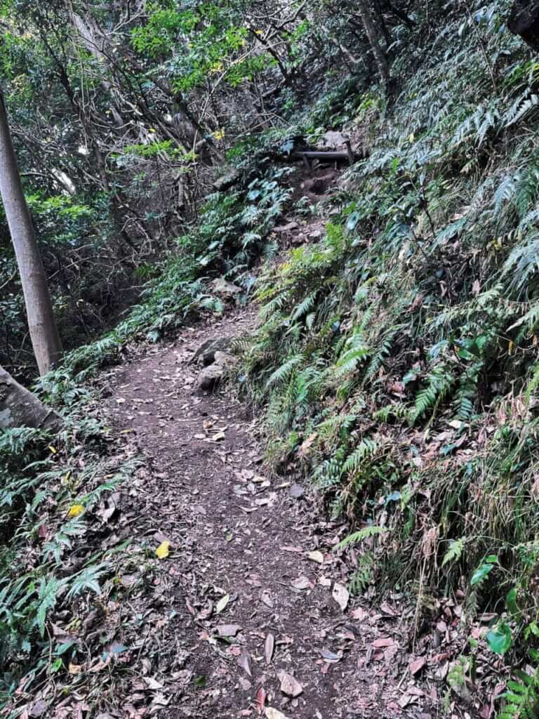 BMW R1300RT_伊豆黄昏浪漫行｜【BMWツーリング：R1300RT】伊豆黄昏浪漫行〜一日の終わり、旅の終わりに拝む日の入り