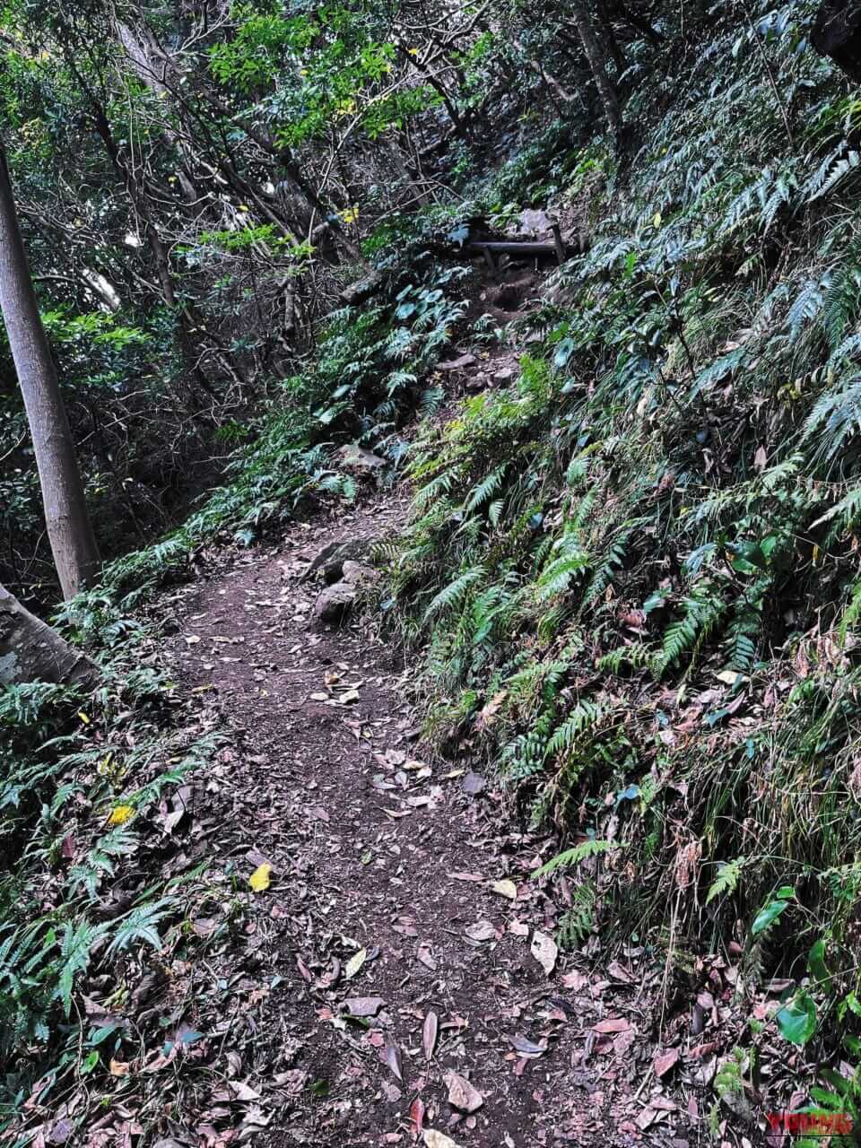 BMW R1300RT_伊豆黄昏浪漫行|【BMWツーリング:R1300RT】伊豆黄昏浪漫行〜一日の終わり、旅の終わりに拝む日の入り