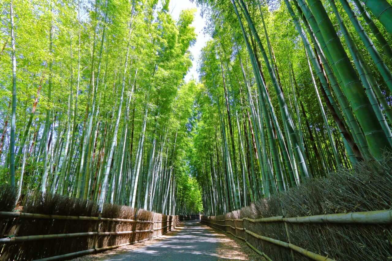 知多半島｜【4月開催】春のバイク祭り・第3弾！名古屋モーターサイクルショーを見逃すな！