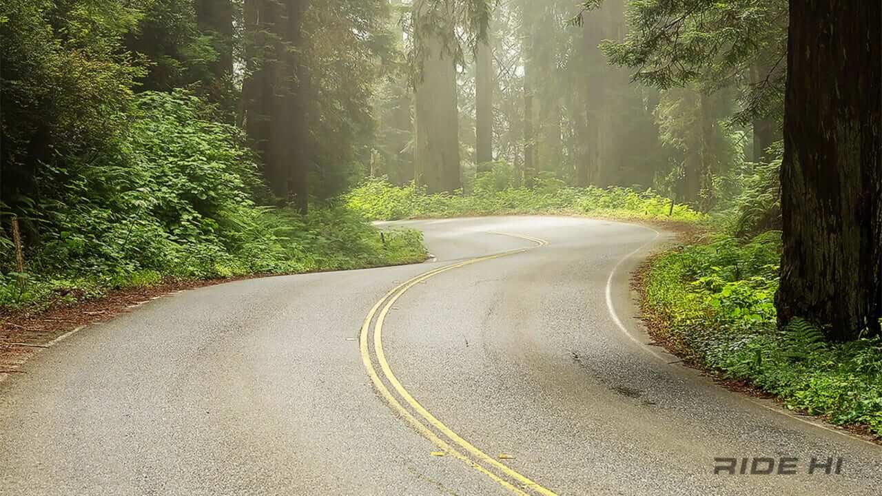 「えっ、発想が逆では」「先が見えないのに怖くない？！」ブラインドカーブは、リスクを避けてゲーム感覚で楽しもう！