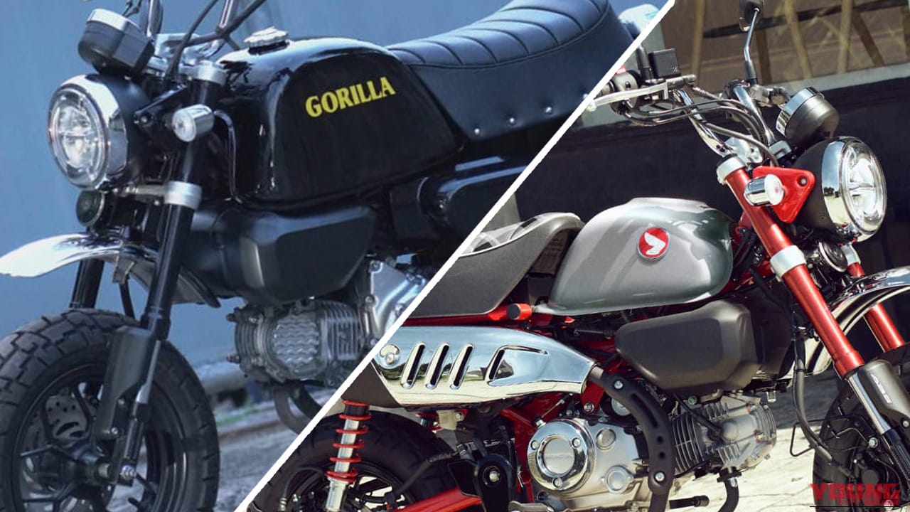 【ホンダ(HONDA)モンキー125購入ガイド】2026年最新モデルの基本情報から、リアルな試乗インプレ、話題のゴリラ化カスタムまで徹底解説!