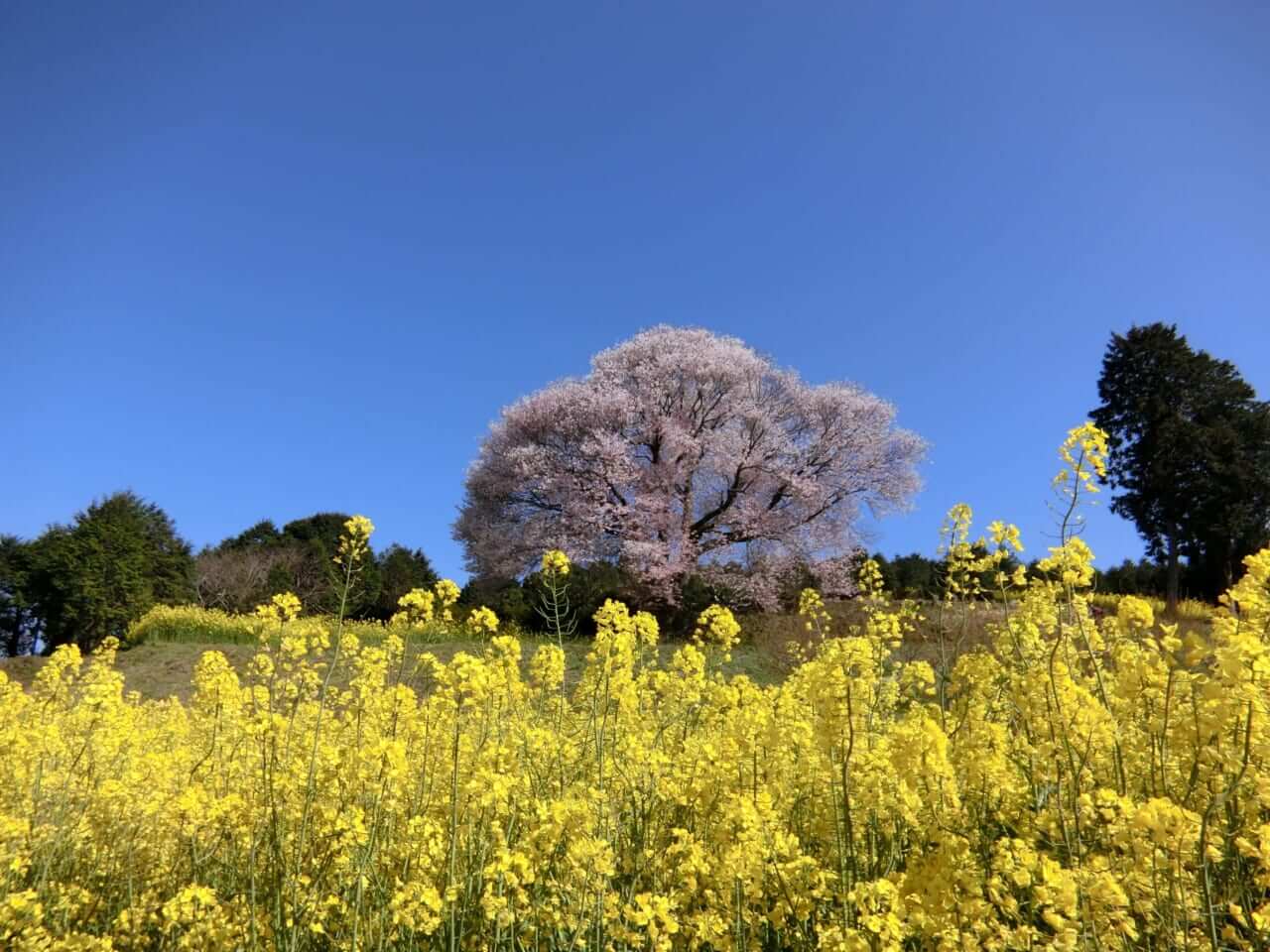 4月のツーリングは「方位」で選ぶ!? 愛車と運気をアップデートする、吉方位ツーリングのススメ