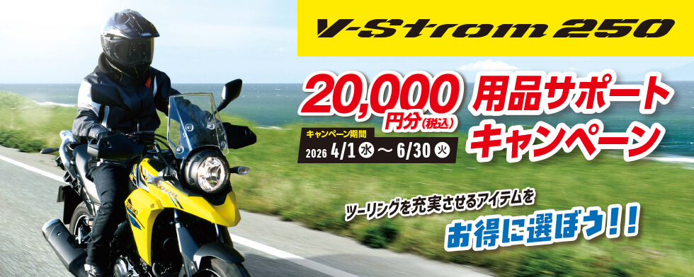 Vストローム250｜【祝！ツーリング・バイク・オブ・ザ・イヤー 2025受賞！】SUZUKI V-Strom250の魅力に迫る