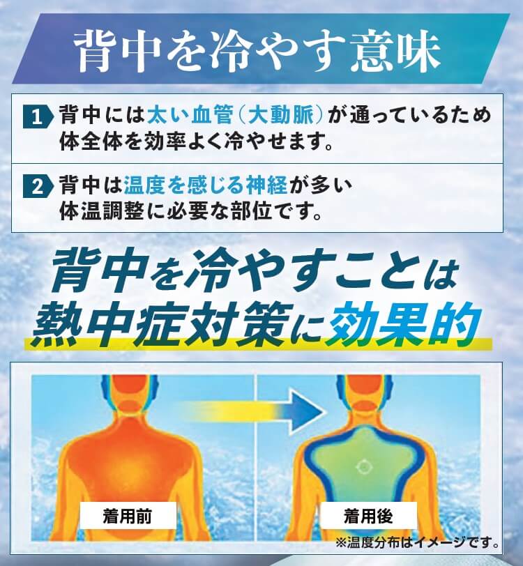 冷暖BODY サーモベスト|【LINKS】これぞ、ライダーの夏を変える“本気”の最強の冷却アイテム群だ!