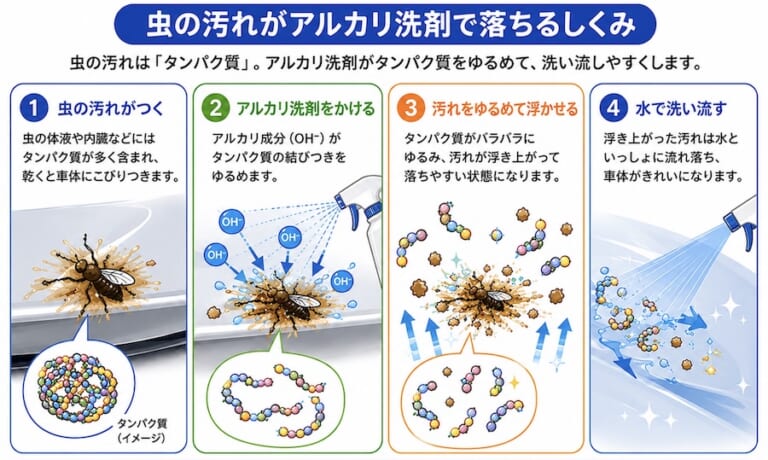 虫汚れ|バイクの虫汚れ対策完全ガイド 落とし方から予防法まで徹底解説