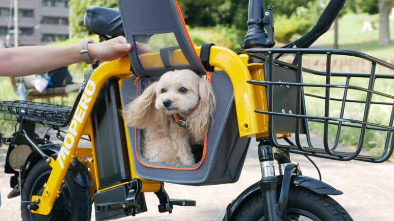 約16万から手に入る「漕がない自転車」! 耐荷重150kg＆傾斜32%を登る特定小型原付「モペロ ミニカーゴ2」が予約販売受付中