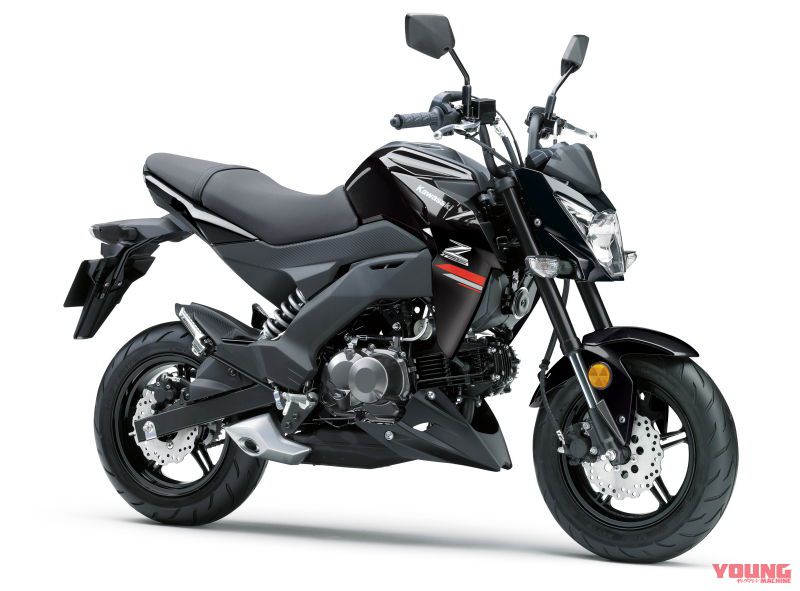 カワサキ Z125 PRO