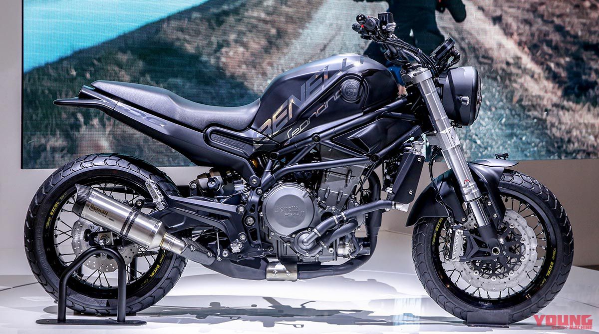 BENELLI LEONTINO 800