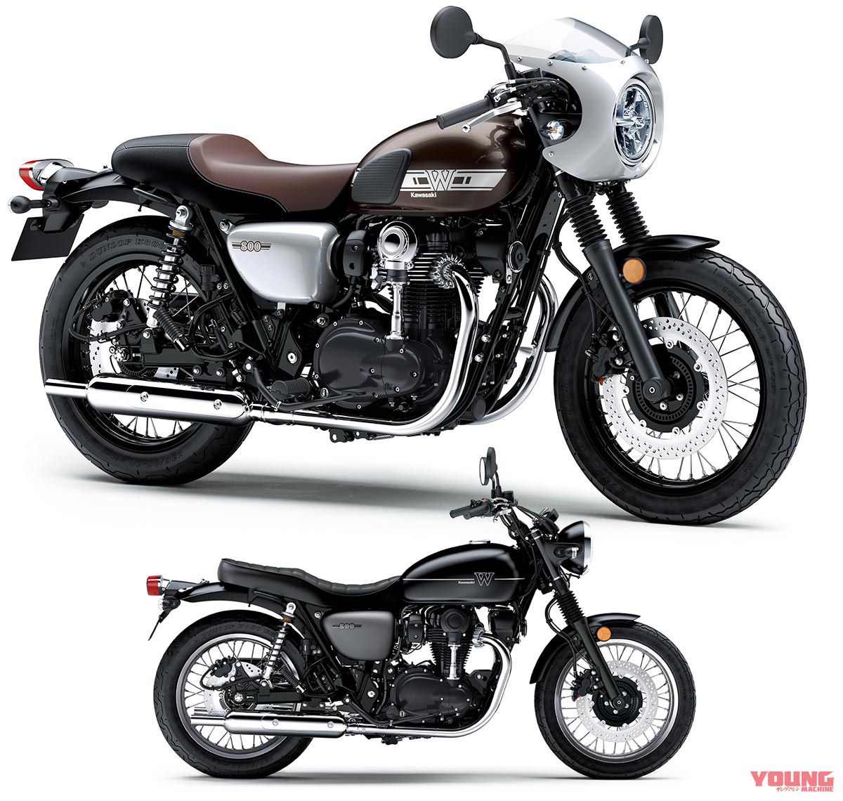 W800 STREET/CAFE(2019)