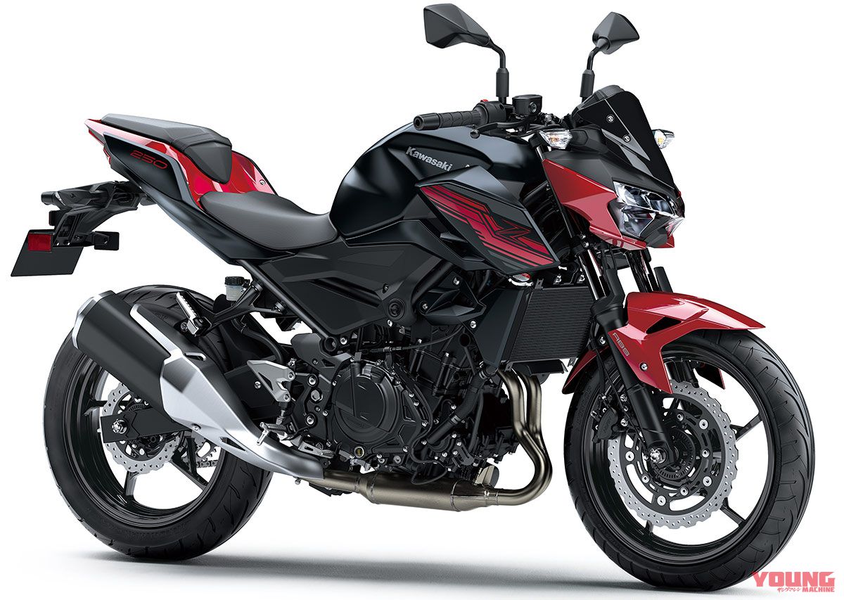 Z250(2019)