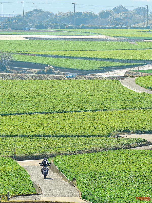 岡崎静夏×HONDA CB125R