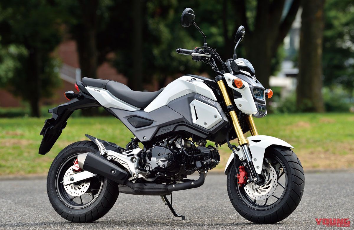HONDA GROM [2018]